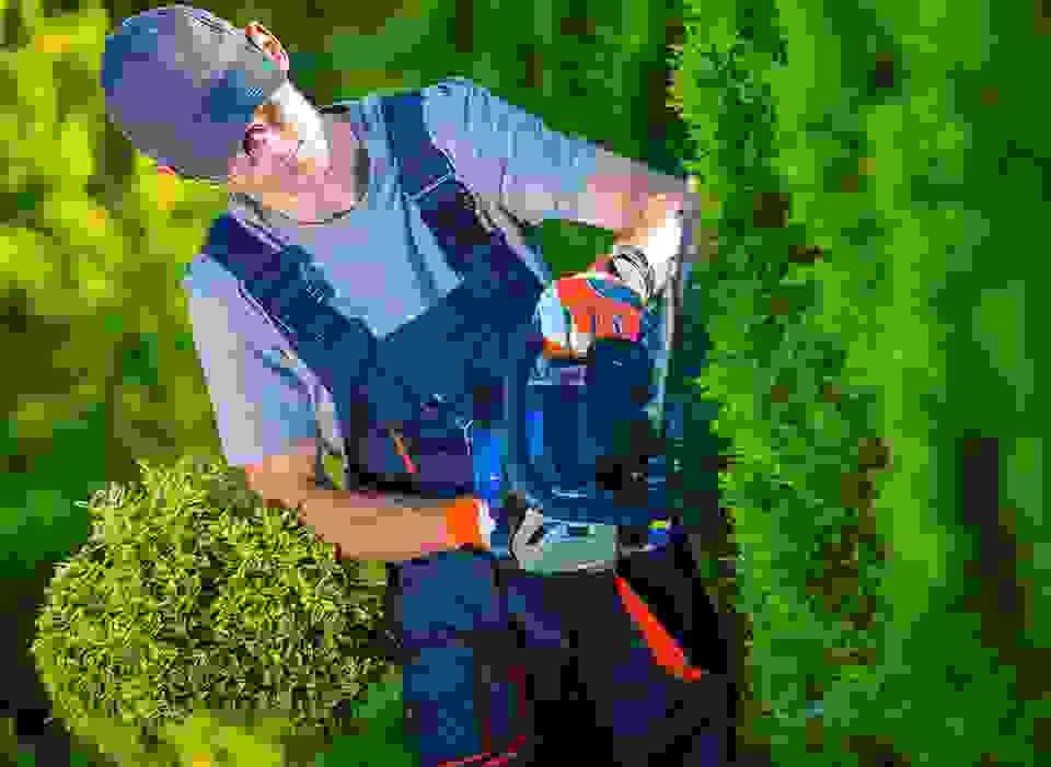 bg img2
