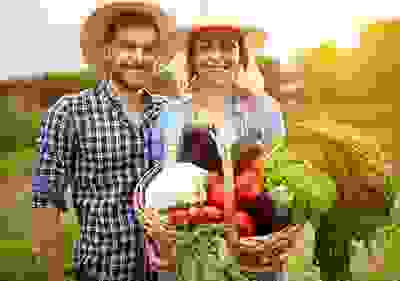img cap 1 img cap 1