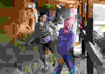 img cap 11 img cap 11