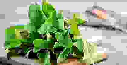 img cap 13 img cap 13