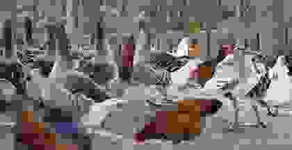 img cap 14 img cap 14
