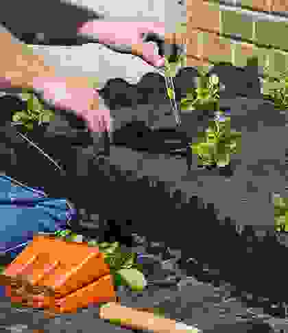 img cap 17 img cap 17