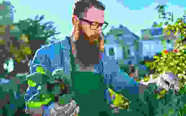 img cap 19 img cap 19