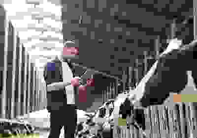 img cap 2 img cap 2
