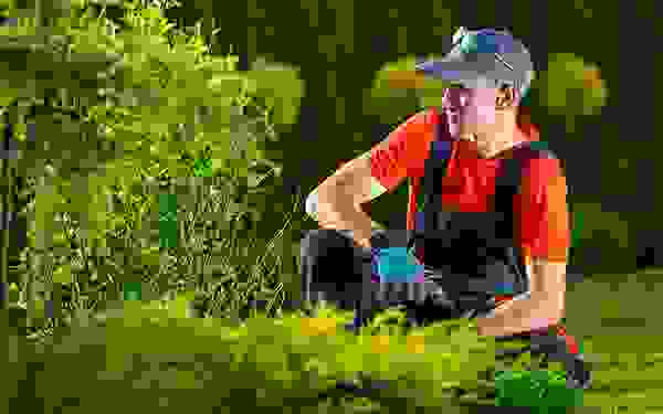 img cap 22 img cap 22