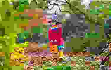 img cap 24 img cap 24