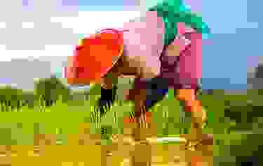 img cap 26 img cap 26