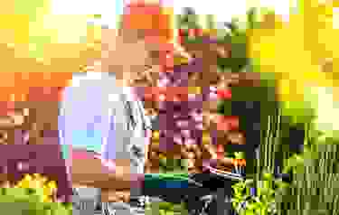 img cap 27 img cap 27