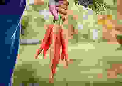 img cap 3 img cap 3