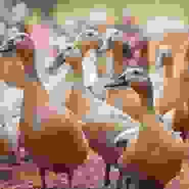 img cap 35 img cap 35