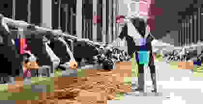 img cap 6 img cap 6