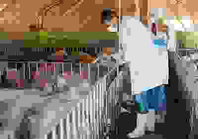 img cap 9 img cap 9