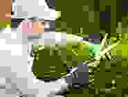 timeline6 timeline6