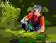 timeline7 timeline7