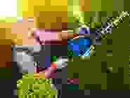 timeline8 timeline8