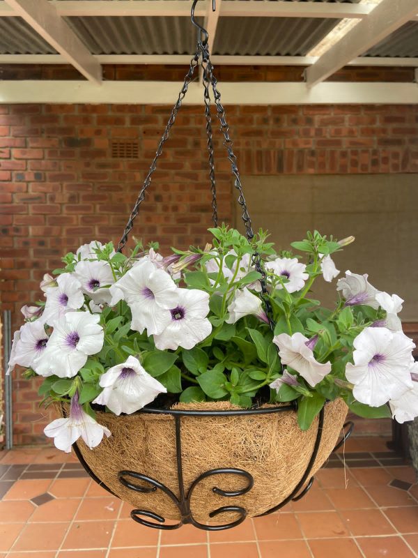 BTYHB0510_BTYHB0512_BTYHB0514_BTYH0516 - Gardeners Delight - LS