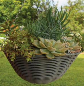 Baskets and Liners Mango Moon 01