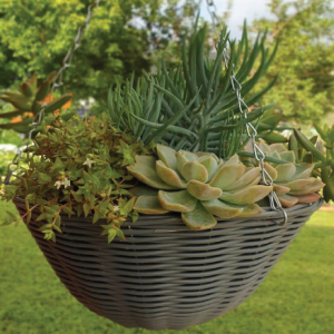 Hanging Baskets and Liners