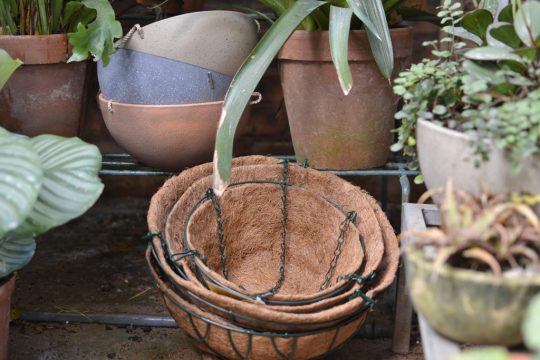 DSC 0431 1024x683 1