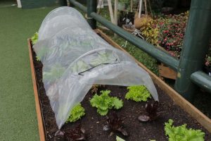 Gro It Grow Tunnel with Polythene Cover 1