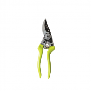 Mango Moon Garden Tools 12