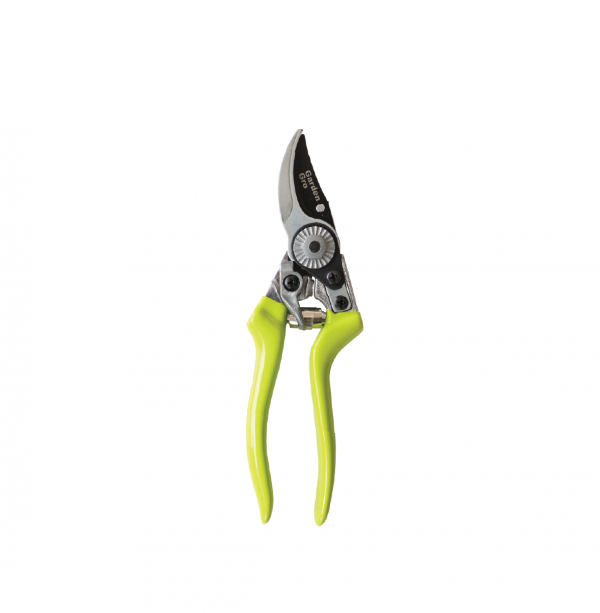 Mango Moon Garden Tools 12