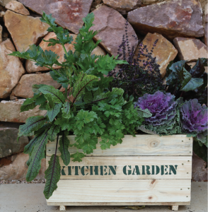 Sustainable Gardening Mango Moon 03