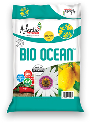 Bio Ocean Generic
