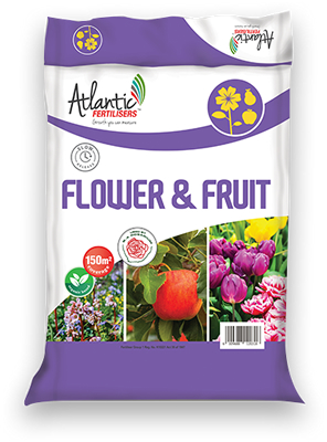 Flower Fruit Generic