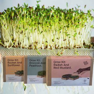 Micro Greens Lifestyle