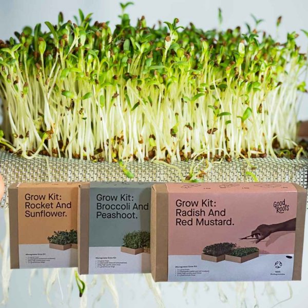 Micro Greens Lifestyle