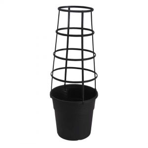 Creeper Pot