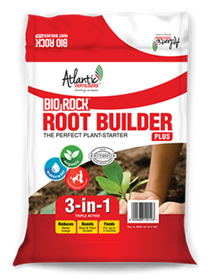 Bio Rockrootbuilder Gen