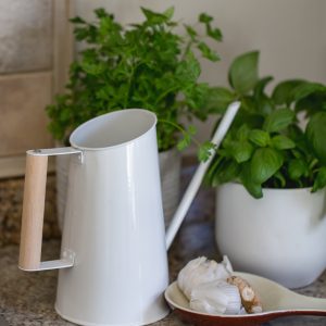 Indoor Decorative