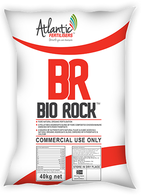 X ABR40 Bio Rock 40kg