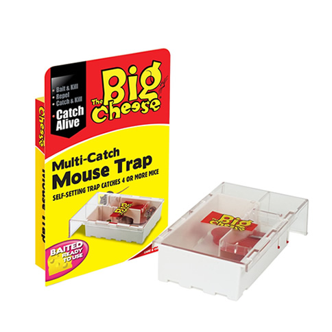 LiveMultiCatchMouseTrap