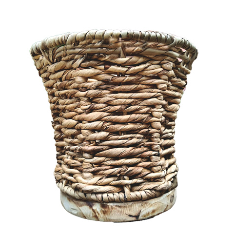 Orchiswoodenbase2