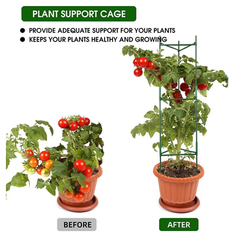 GG-OX0329TomatoPlantSupportStand150cmB