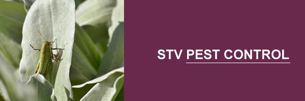 Nav-STV-Pest-Control